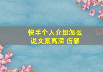 快手个人介绍怎么说文案高深 伤感